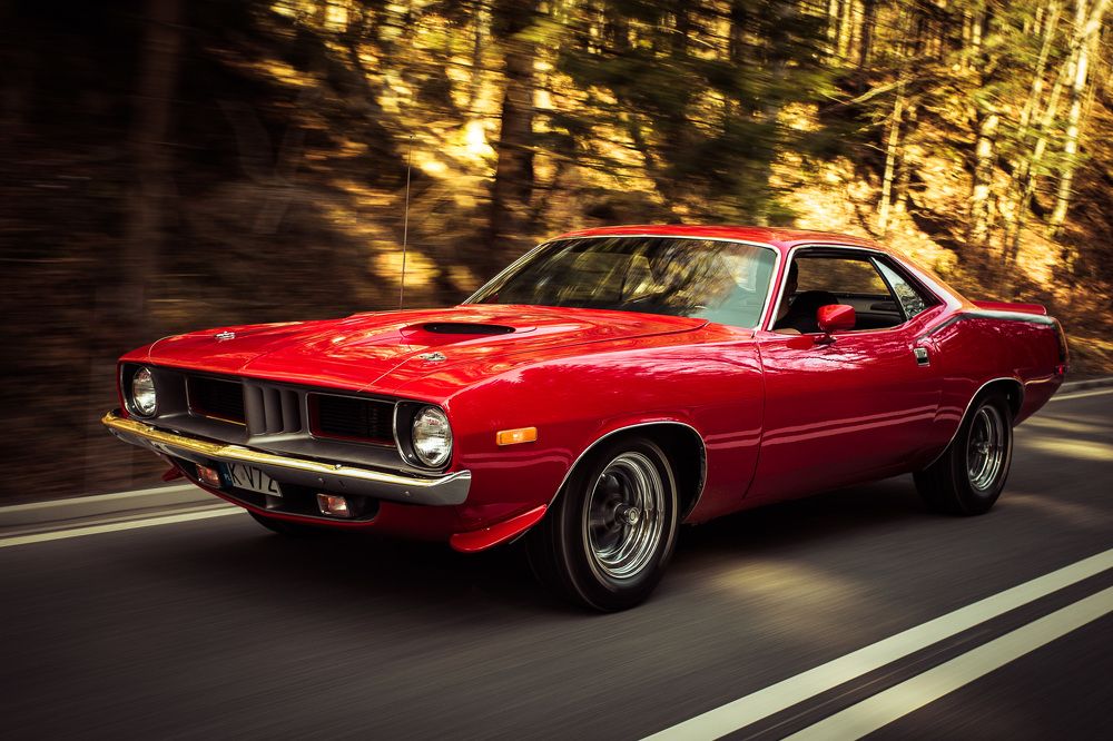 Photograph by Paweł Piątek