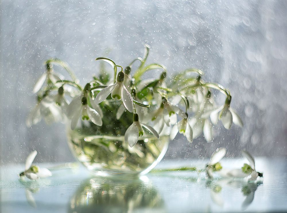 Photograph by Ольга Кобринская