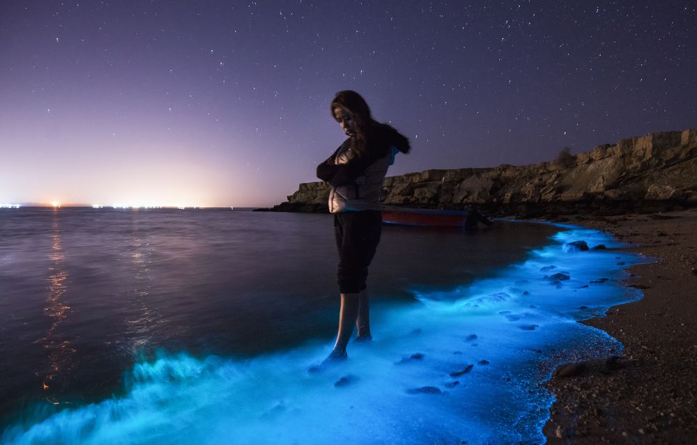 Photograph by Vida Honarvar