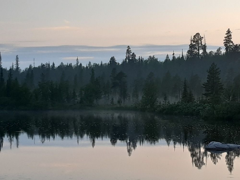 Photo #7854469