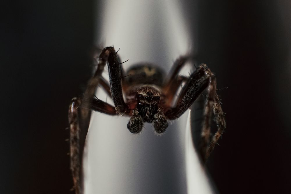 Photograph by Антон Хаткевич