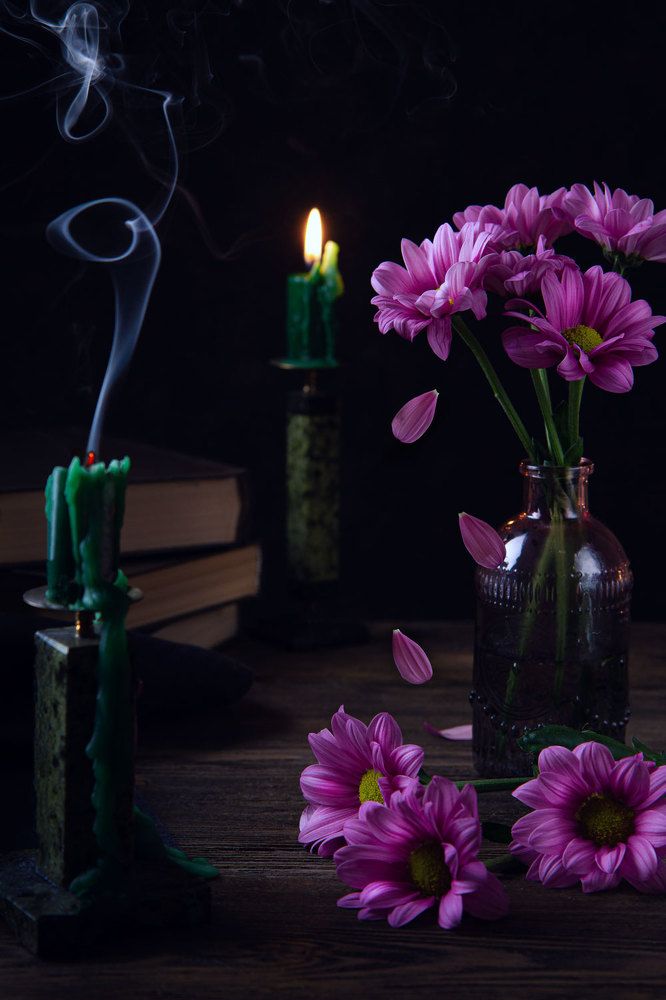 Photograph by Елизавета