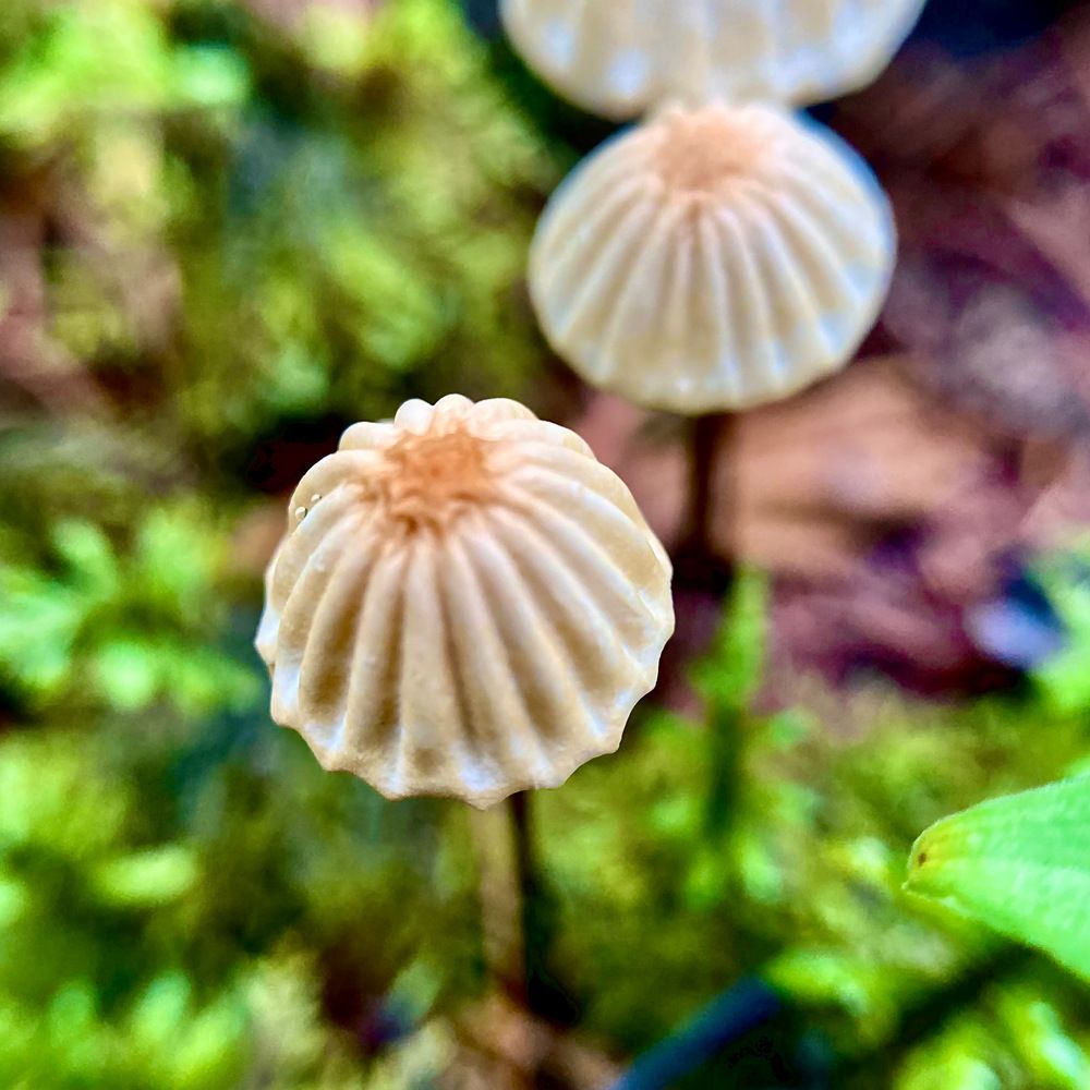 Photograph by Екатерина