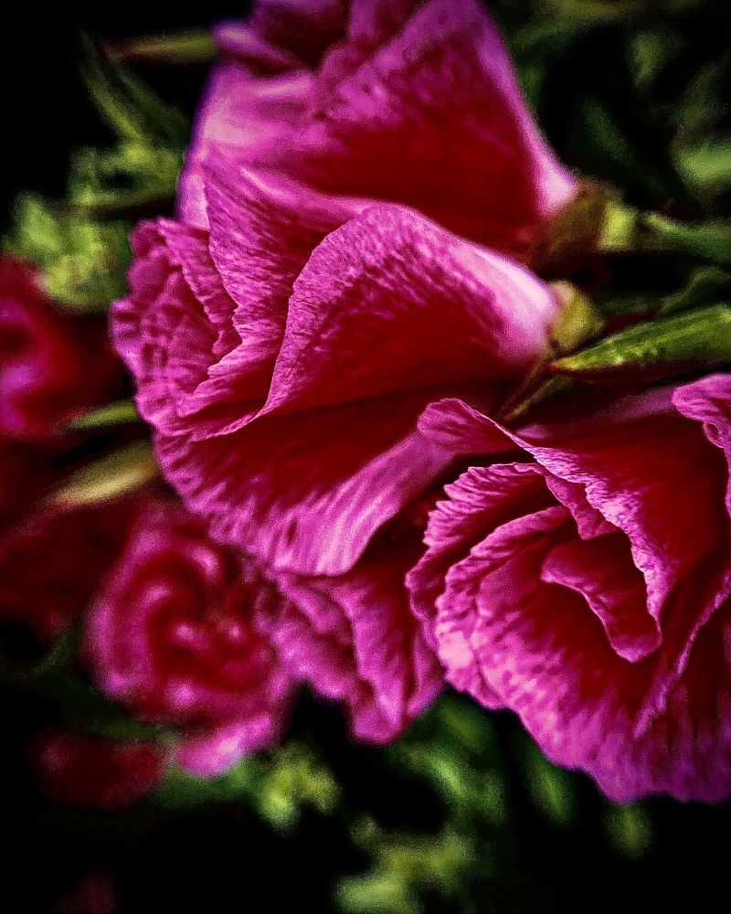 Photograph by Екатерина