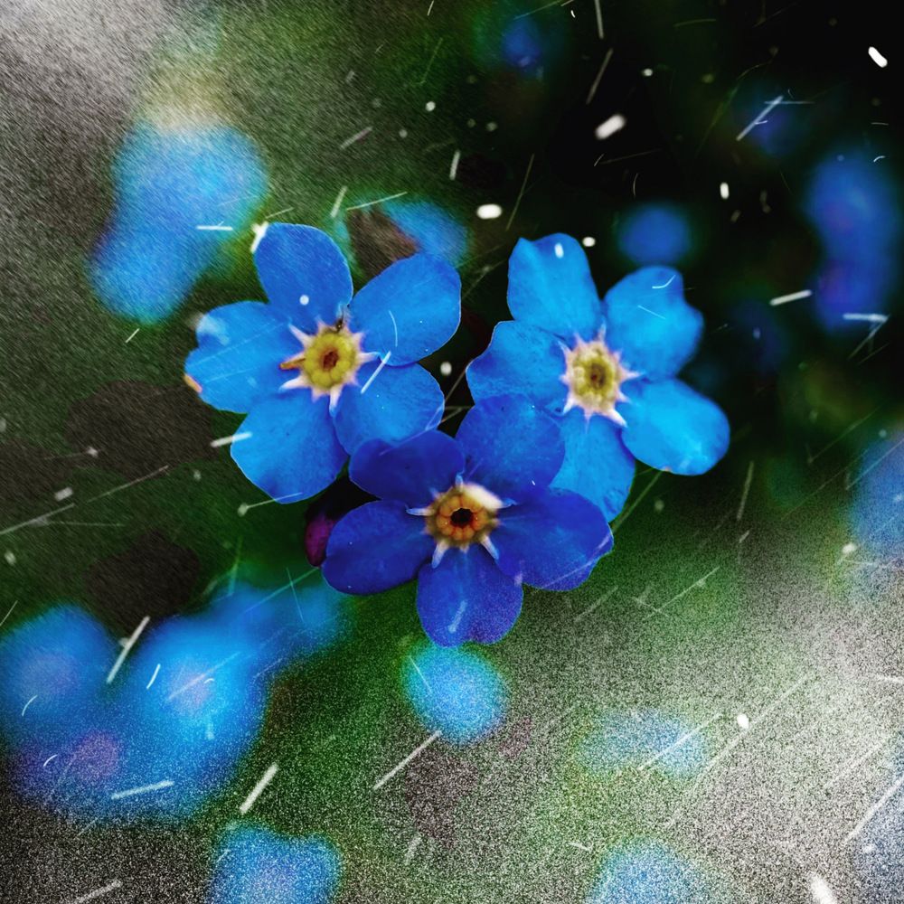 Photograph by Екатерина