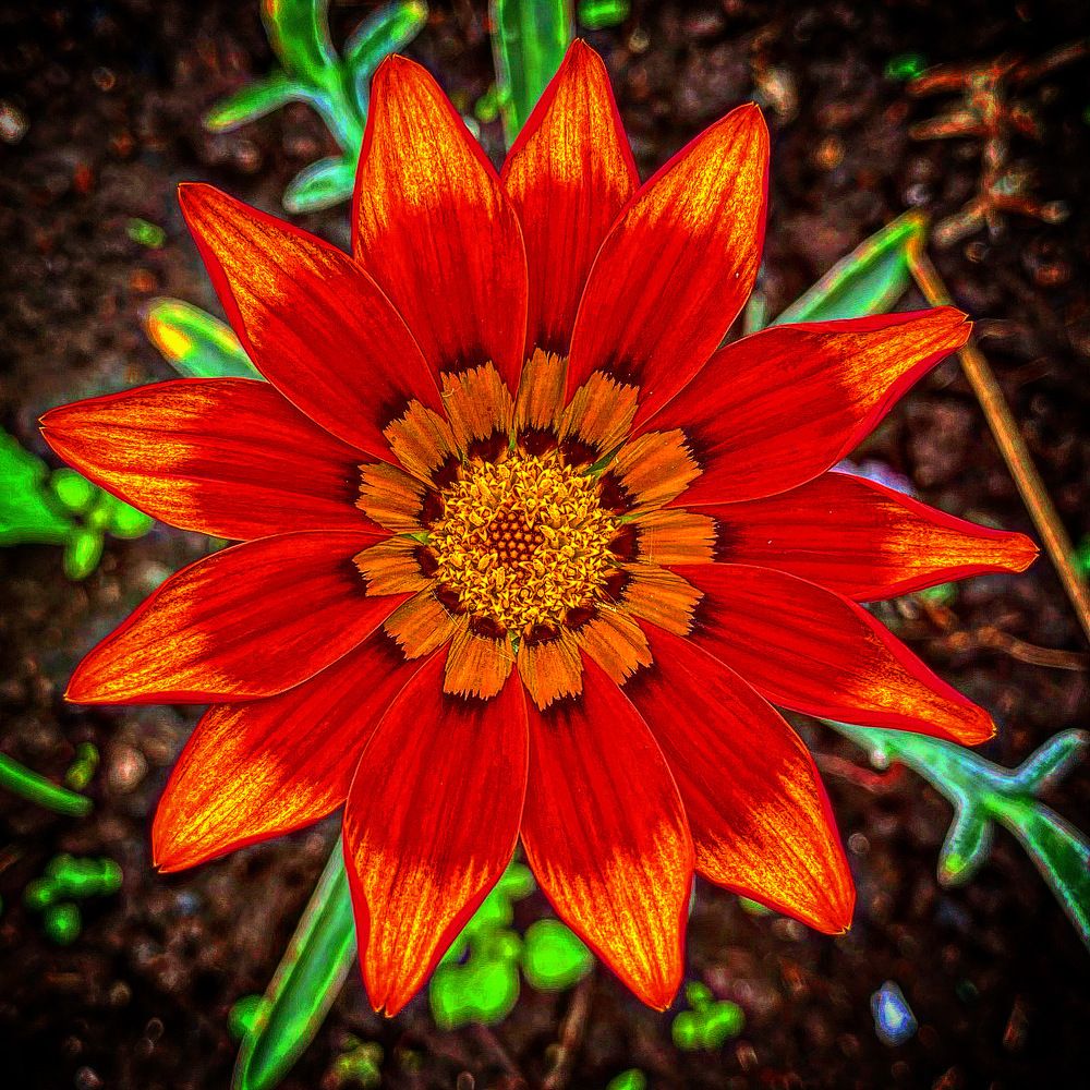 Photograph by Екатерина