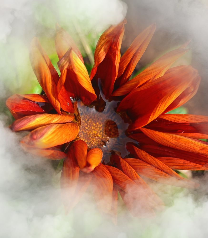 Photograph by Екатерина