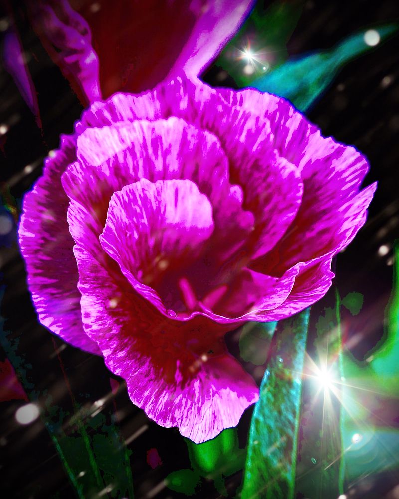 Photograph by Екатерина