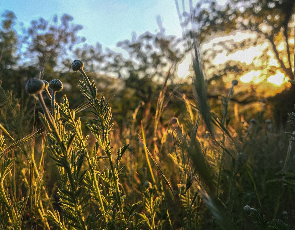 Photograph by Валерия