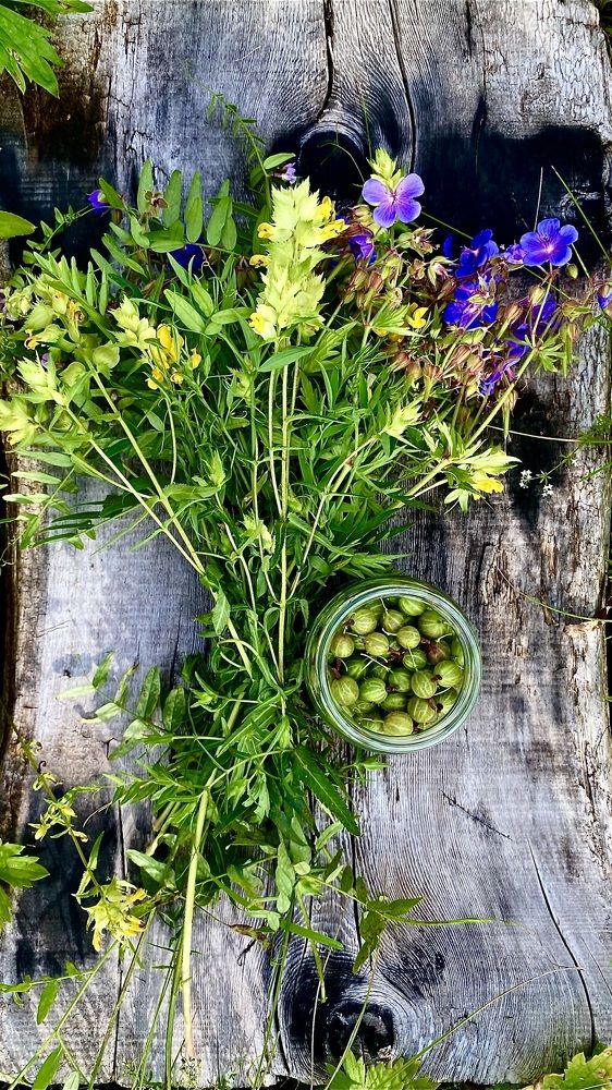 Летнее утро