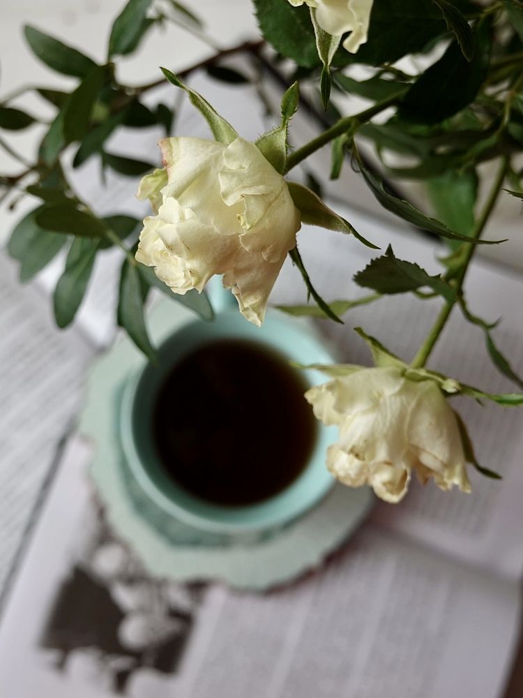 Photograph by Евгения Казакова