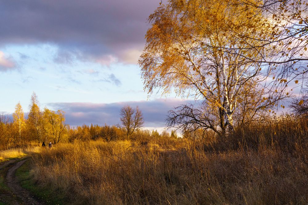 Photograph by Дмитрий Ряховский