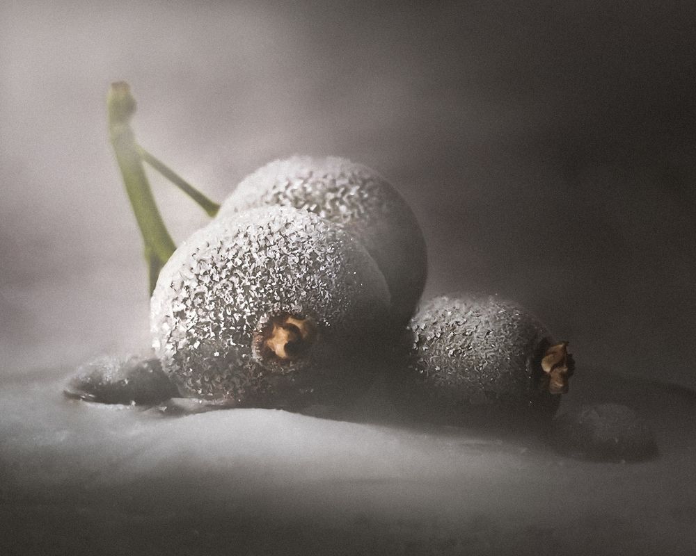 Photograph by Алена Круглик