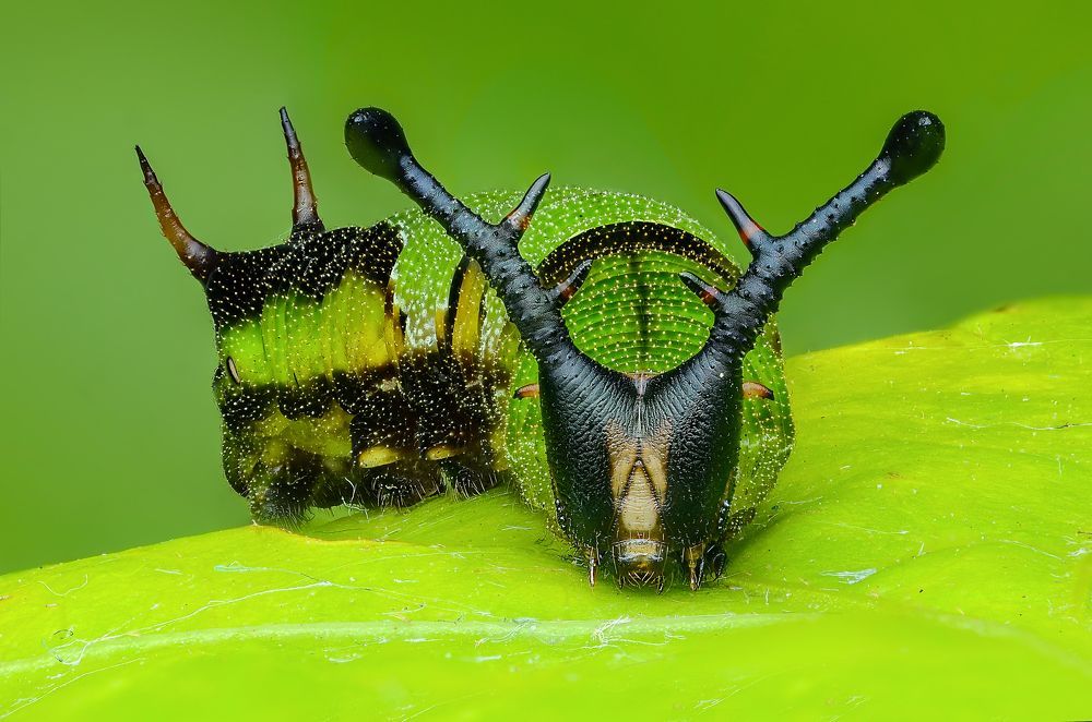 Photograph by Tinh Dang thanh