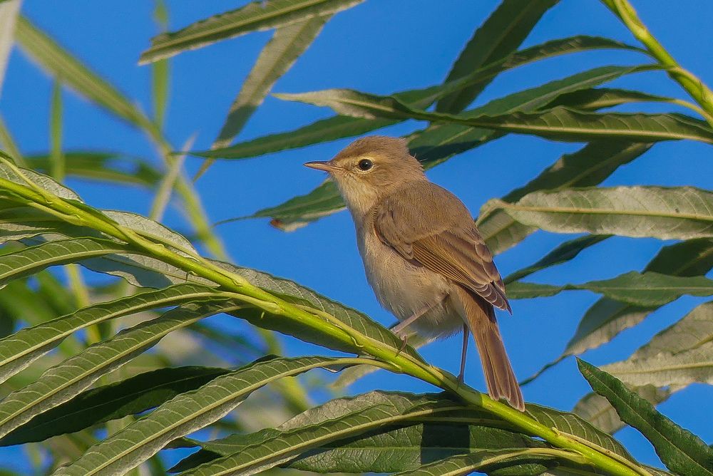 Photograph by Ян Адамсон
