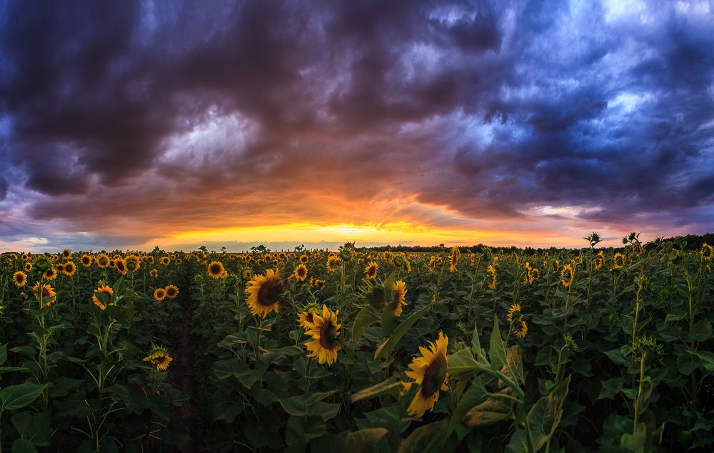 Photograph by Дмитрий Калюженко