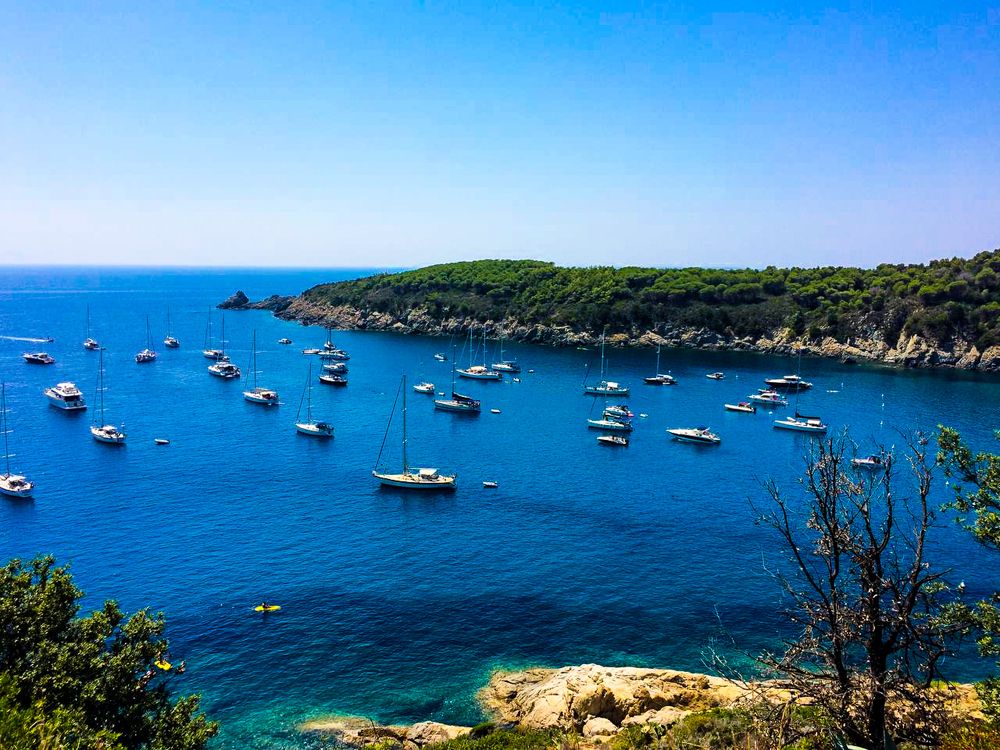 Photograph by Юлия Дударева