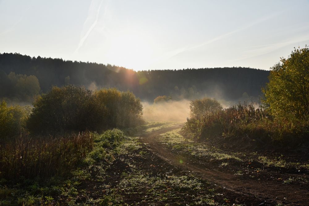 Фотография автора Сергей Чесноков
