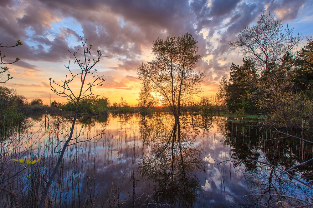 Photograph by Дмитрий Калюженко