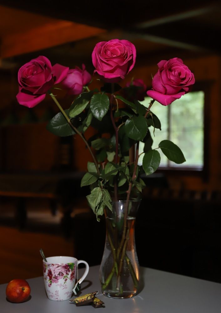 Photograph by Елена Тимченко