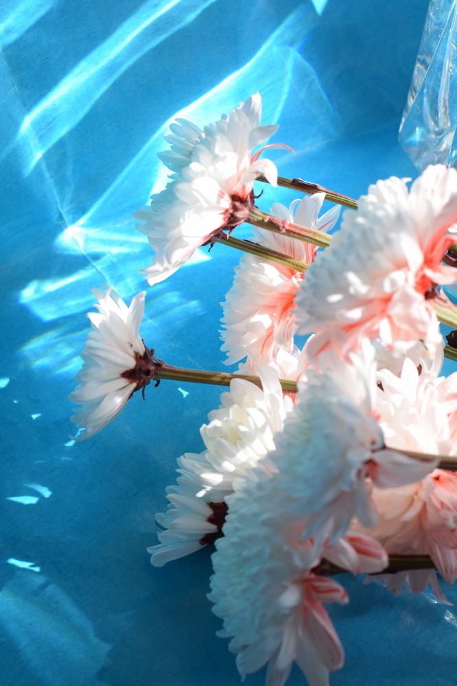 Photograph by Marina Eremin