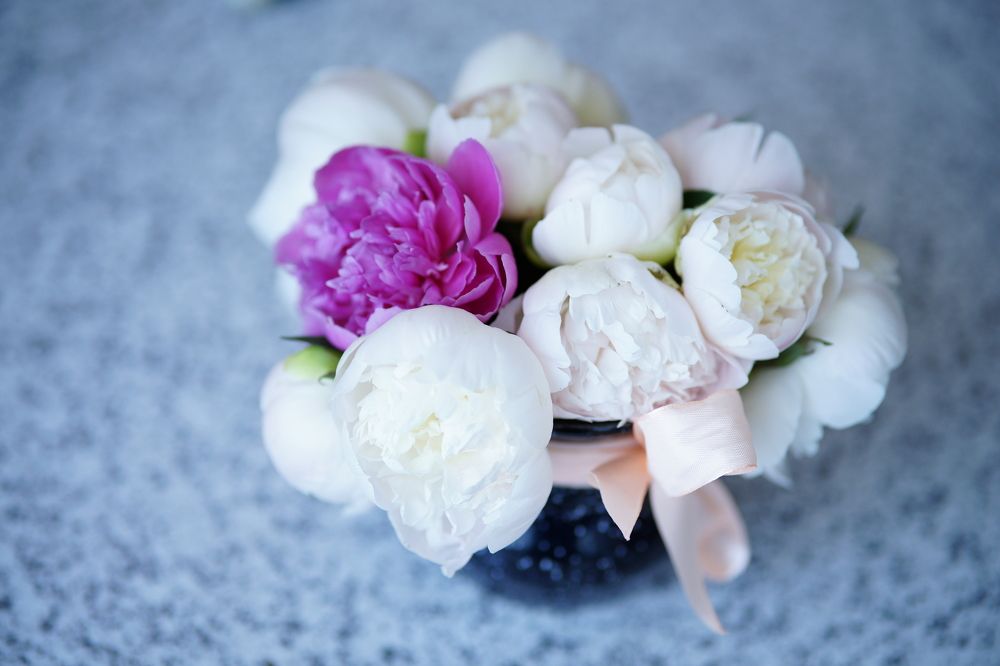 Photograph by Анна Воронова