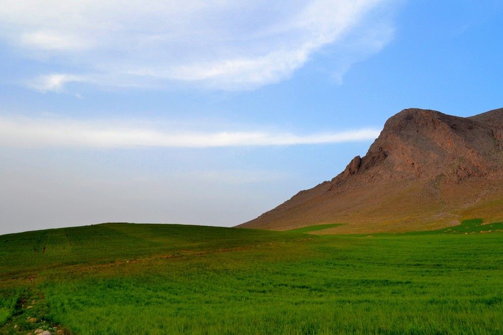 Фотография автора mohammadreza izadi