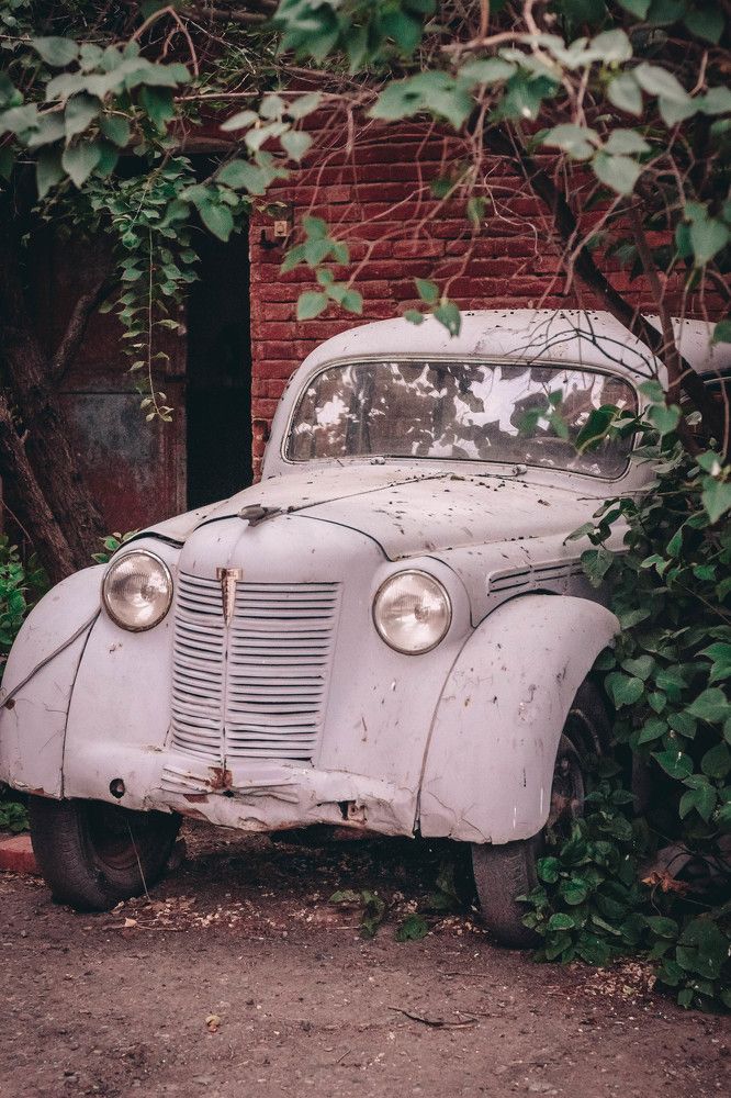 Photograph by Светлана Завьялова