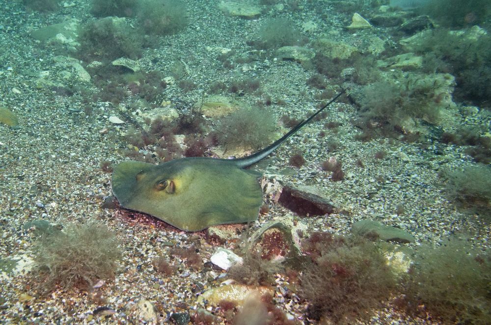 Фотография автора Эрнст Антонов