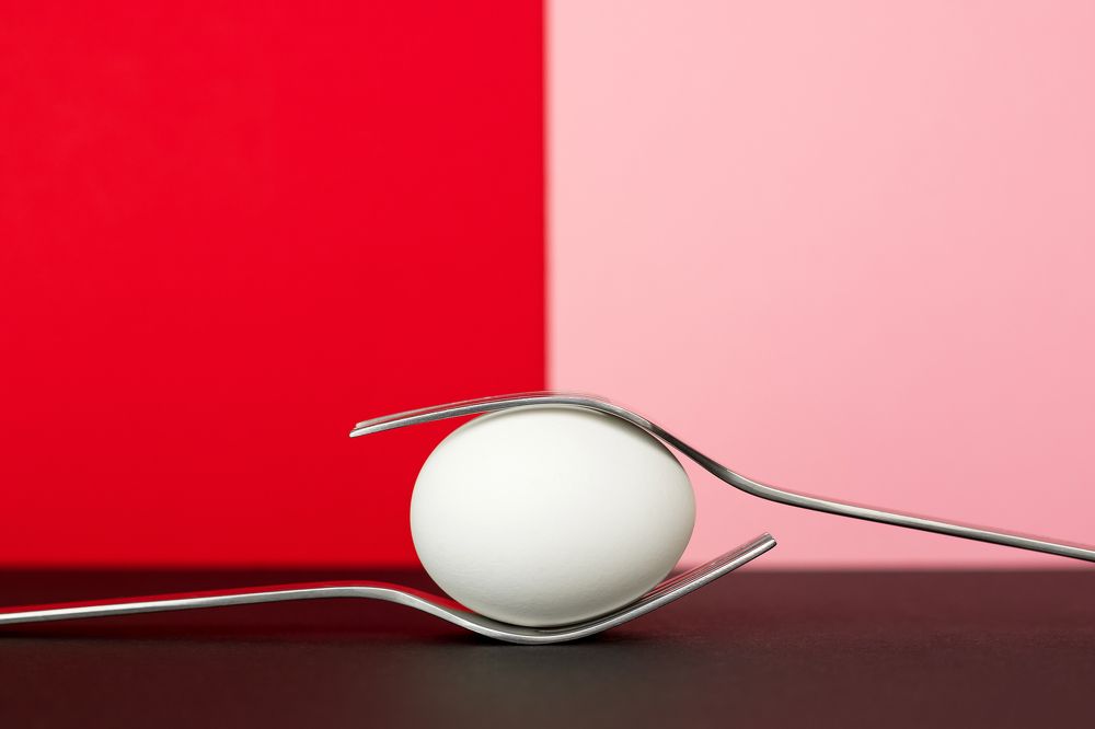 Фотография автора Елена Ельшина