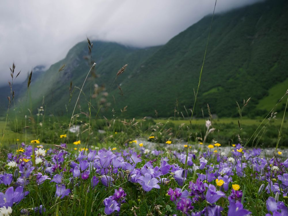 Фотография автора Анастасия