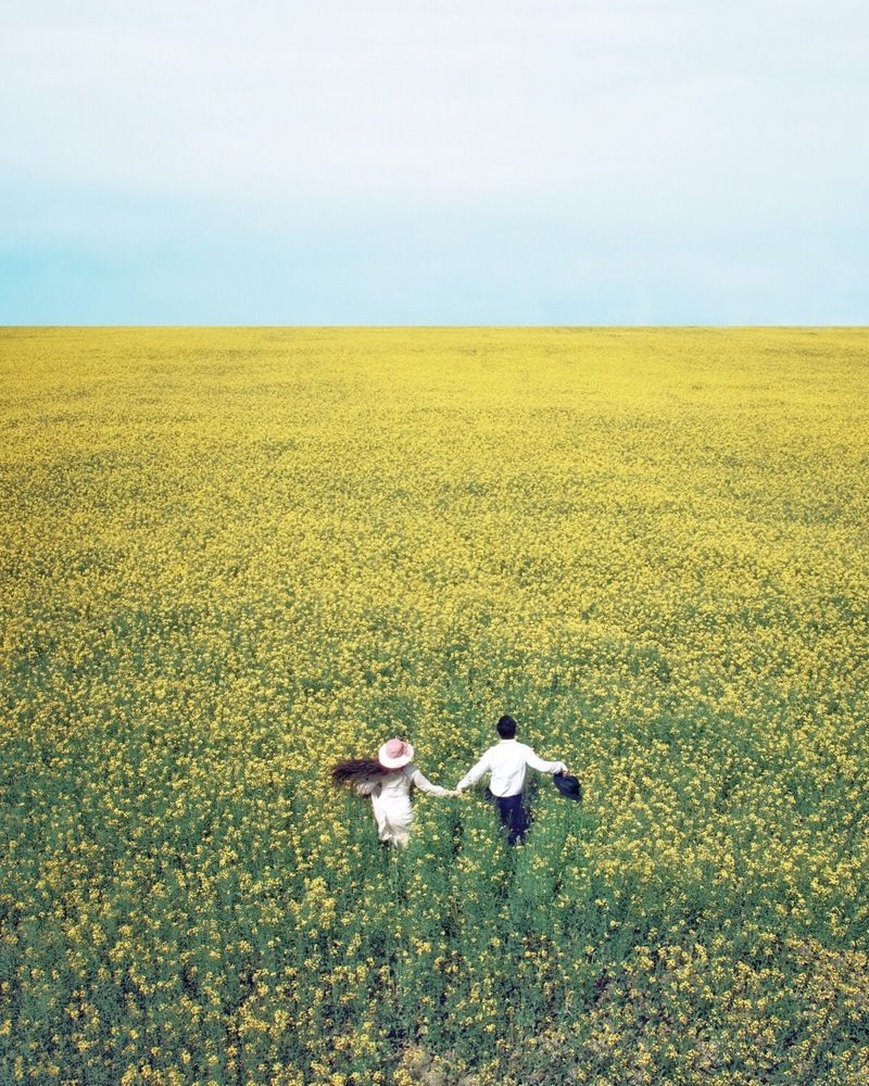 Фотография автора Alireza Bagheri sani