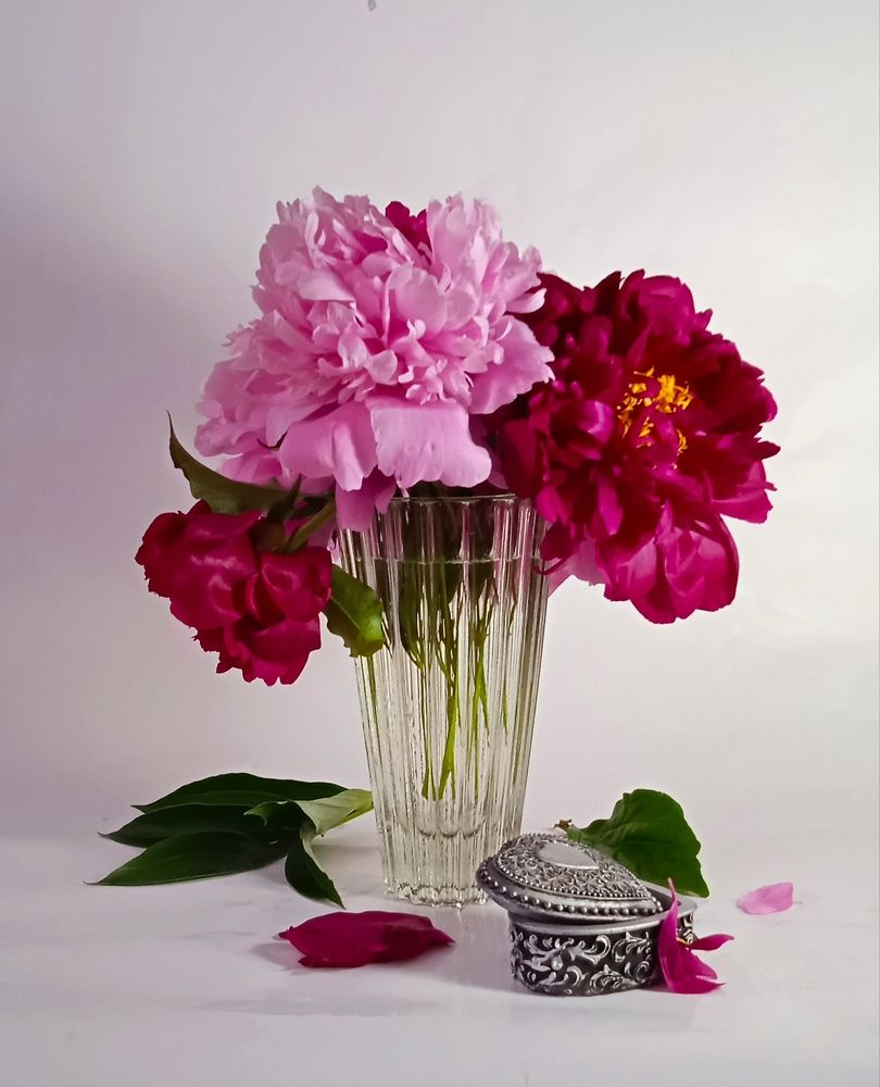 Photograph by Евсеева Валентина