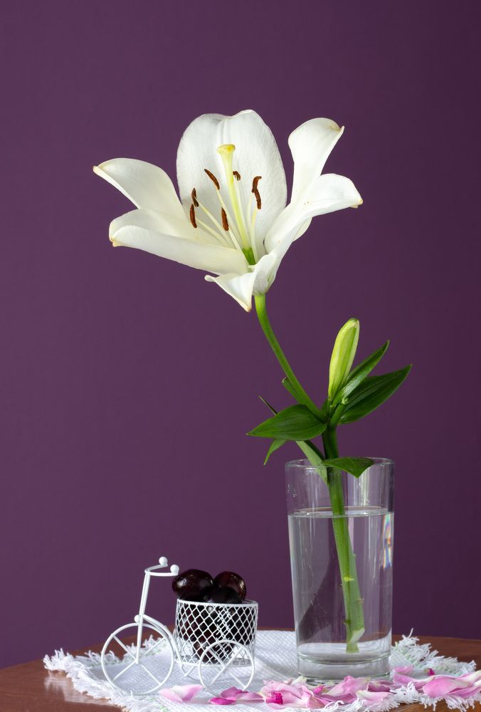 Photograph by Татьяна Новикова