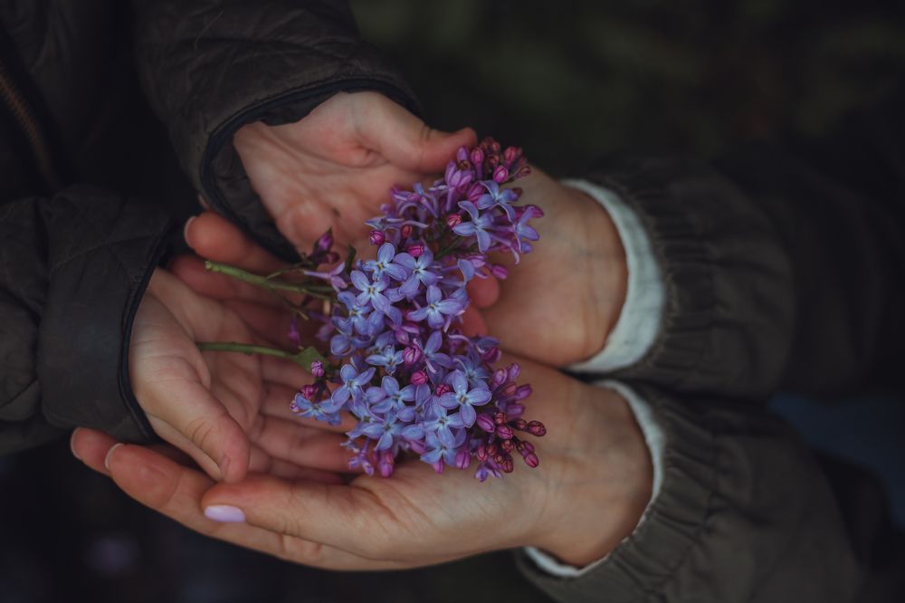 Photograph by Гузель