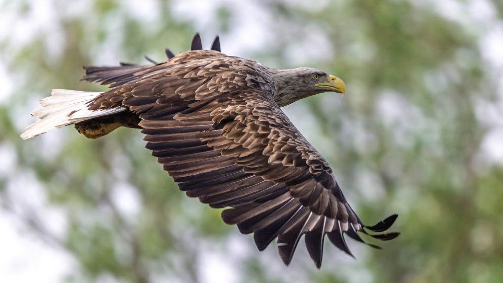 Photograph by АЛЕКСАНДР ПОПИК