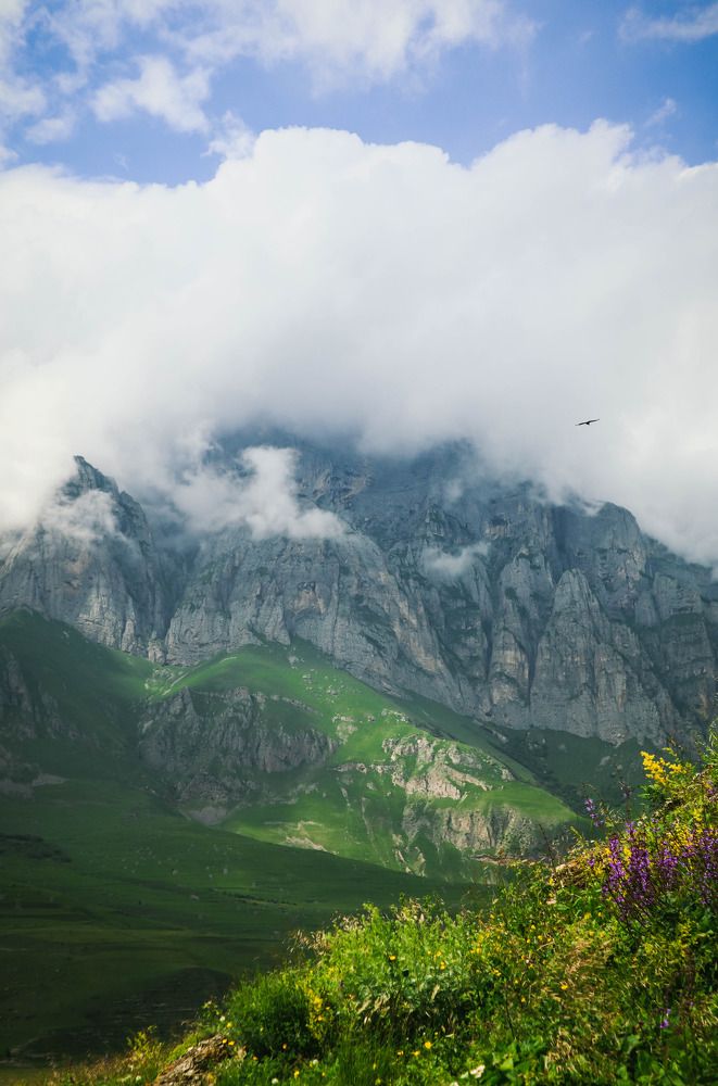 Там ревели горы