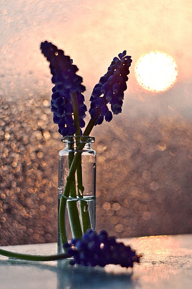 Photograph by Марина Аненко