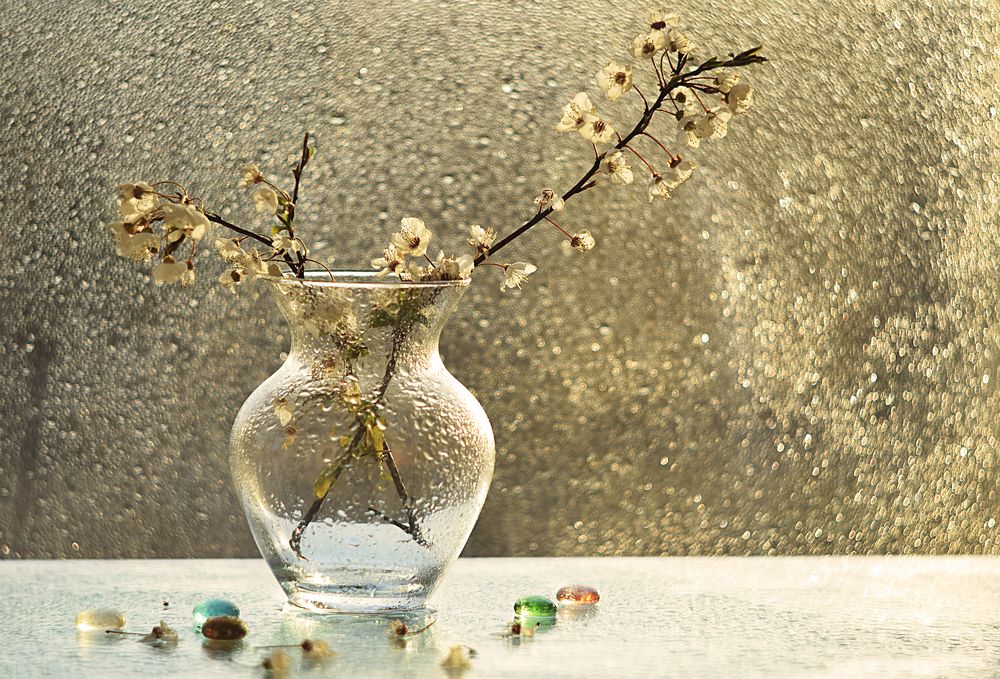 Photograph by Марина Аненко