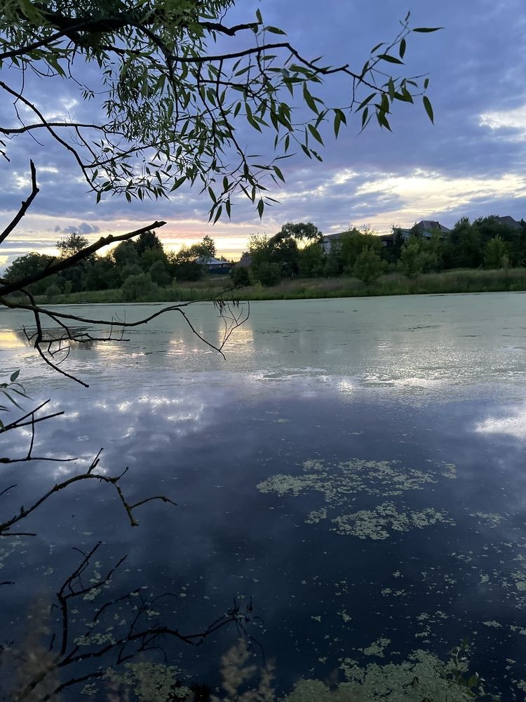 Photograph by Людмила Седлярова