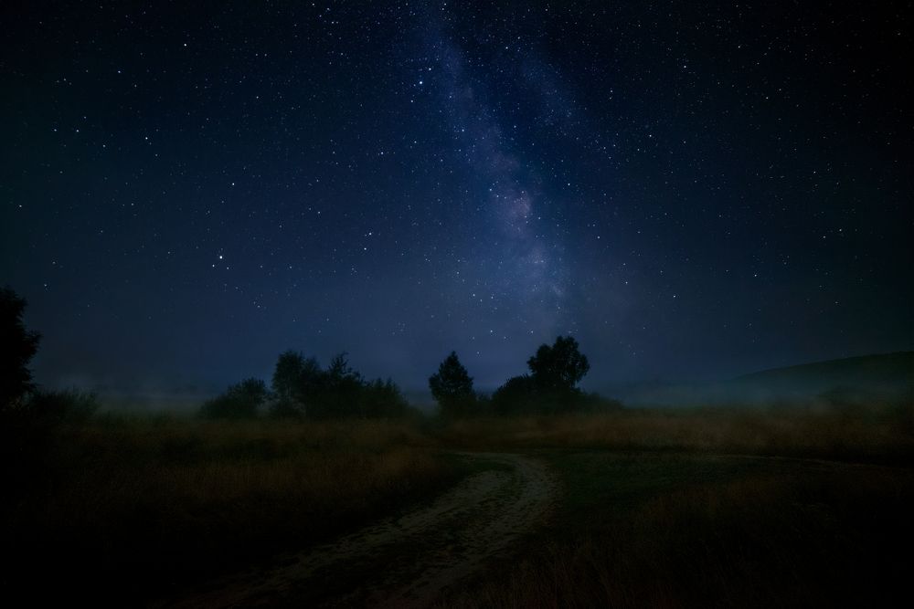 Photograph by Павел Абакумов