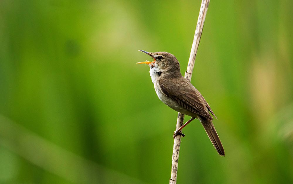 Photograph by Виктор