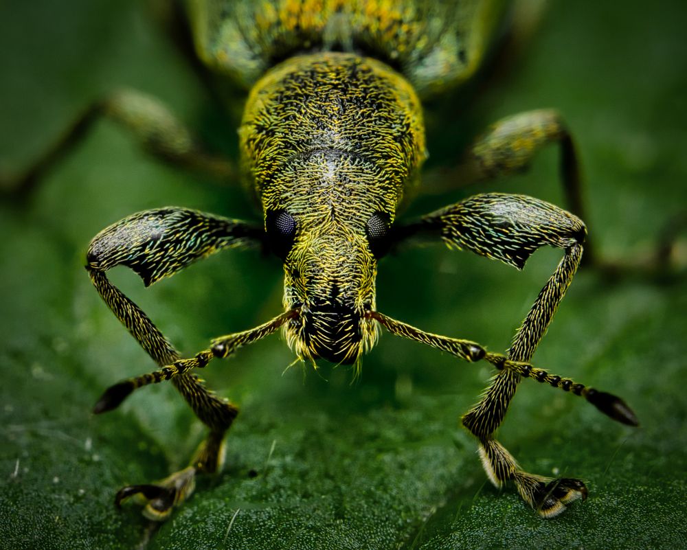 Photograph by Евгения Прокопович