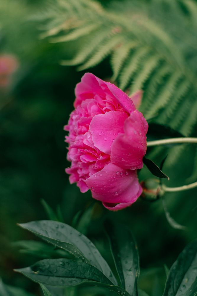 Photograph by Оксана Печкурова