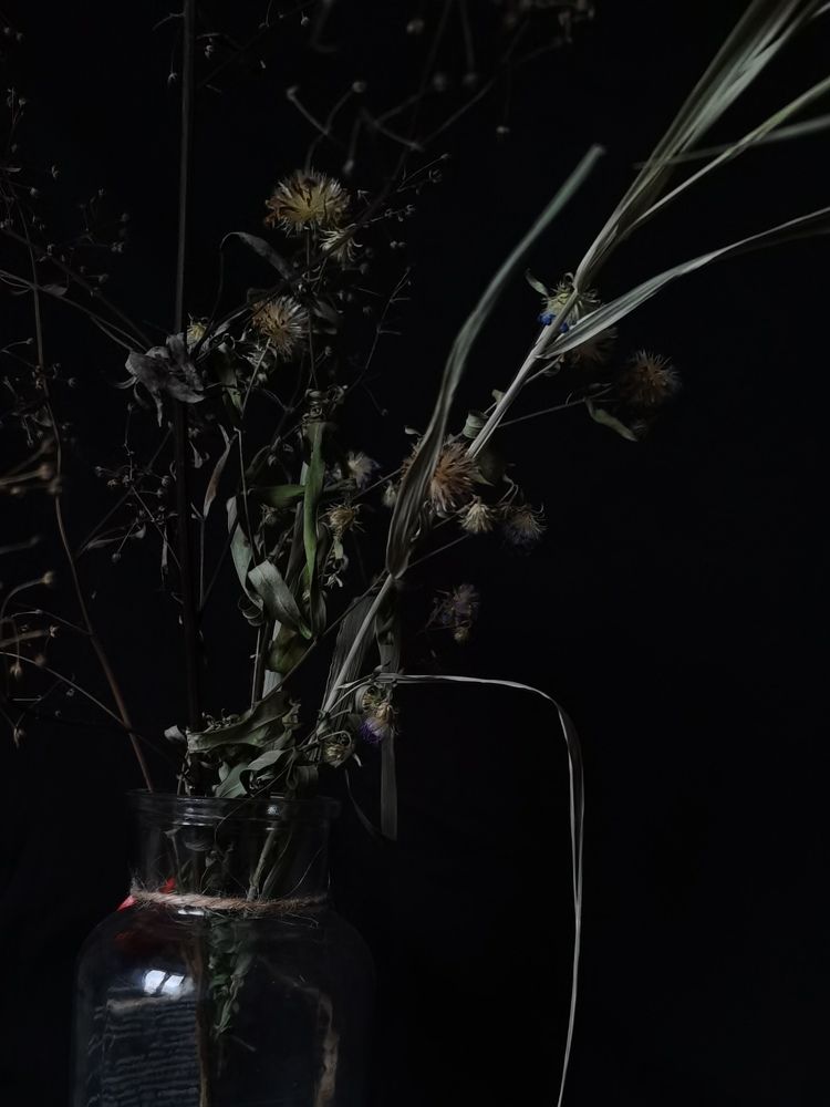 Photograph by Наталья Круглова