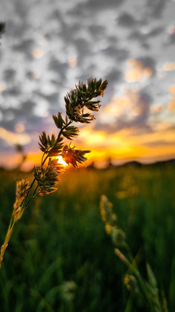 Photograph by Sergey Bichko