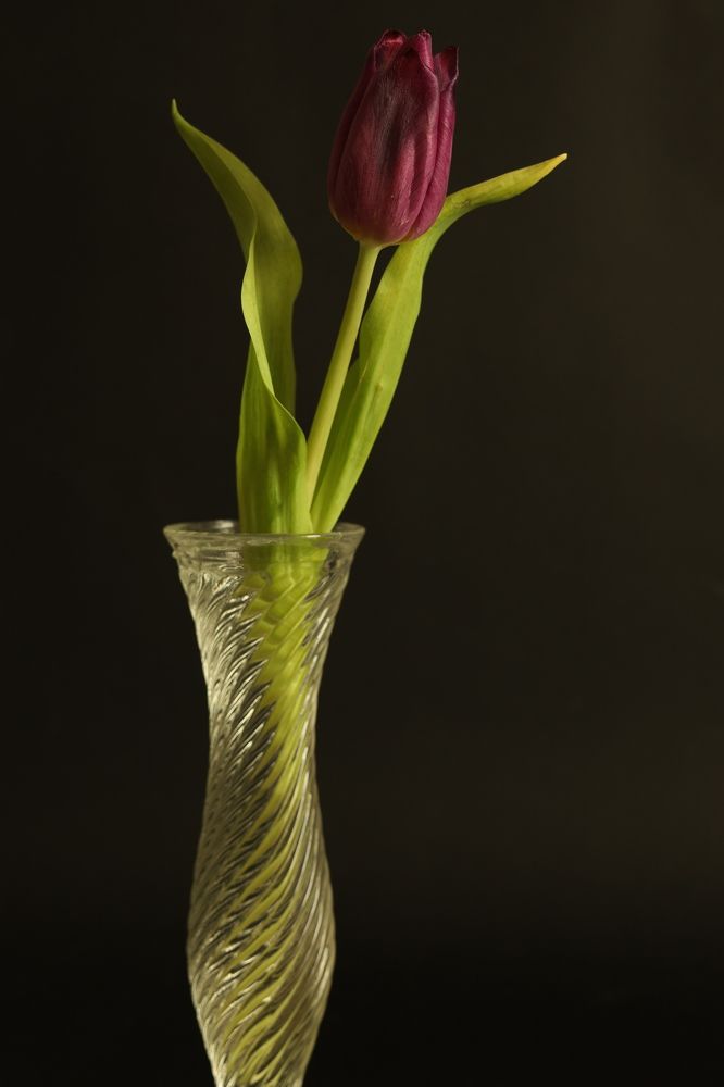 Photograph by Mirela Tortumanova