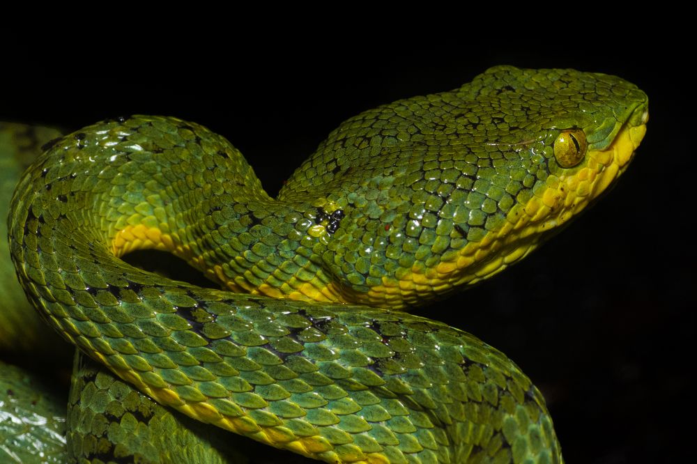 Photograph by Sameer Bhalekar