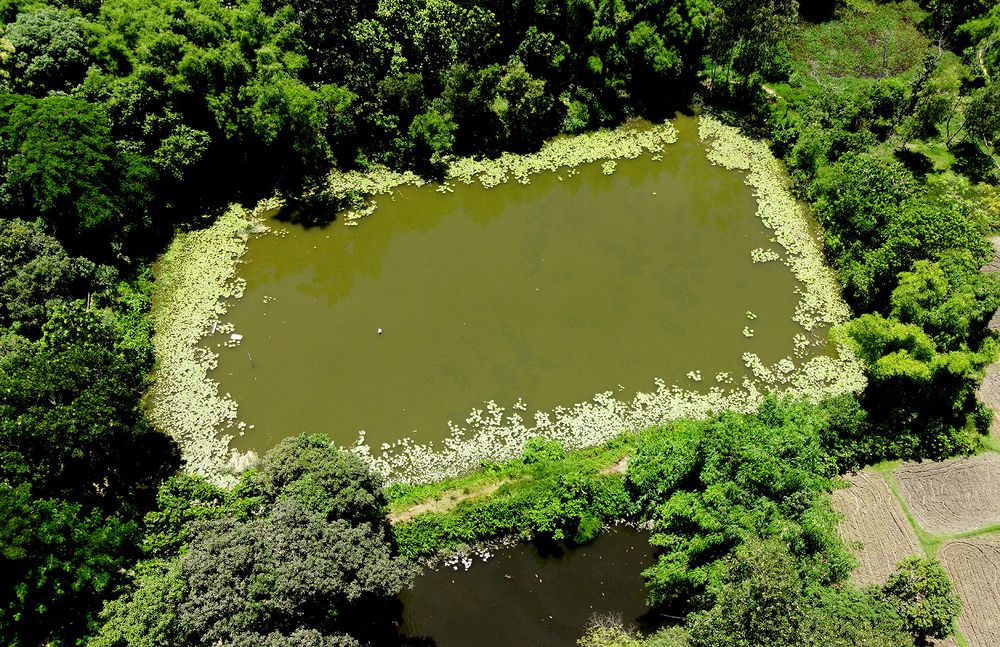 Photograph by MD DIDARUL ALAM CHY