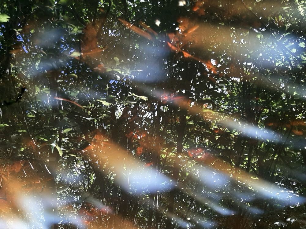 Photograph by Мария Пичугина